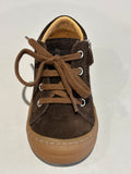 Bottines Shoo pom Tom zip lace truffe nubuck